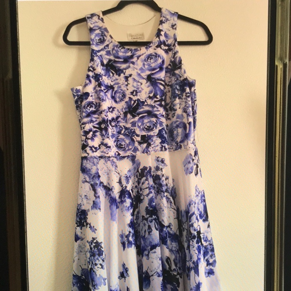 🐣NWT Signature Dress by Robbie Bee🐥